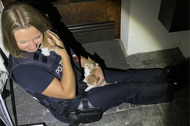 Daaden RP - Zeugenaufruf nach Fund von Katzenbabys