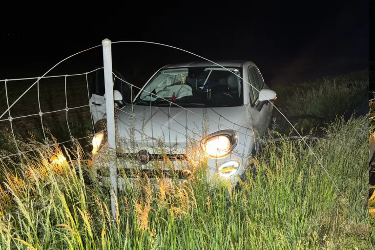 Kestenholz SO – Auto prallt nach Selbstunfall in Wildschutzzaun