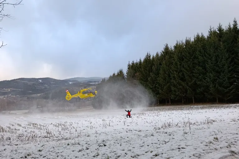 Forstunfall in Puch bei Weiz – Mann erst am Morgen gefunden