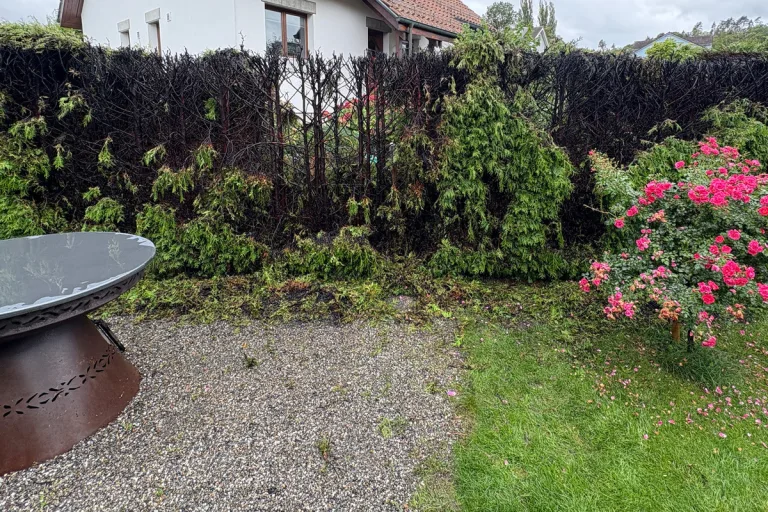 Roggwil TG – Hecke bei Abflammarbeiten in Brand geraten