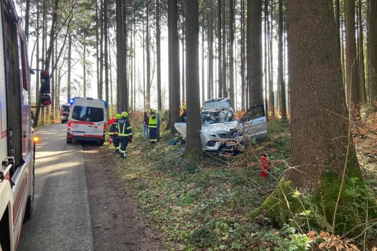 Oberregau – Mit Pkw gegen Baum geprallt