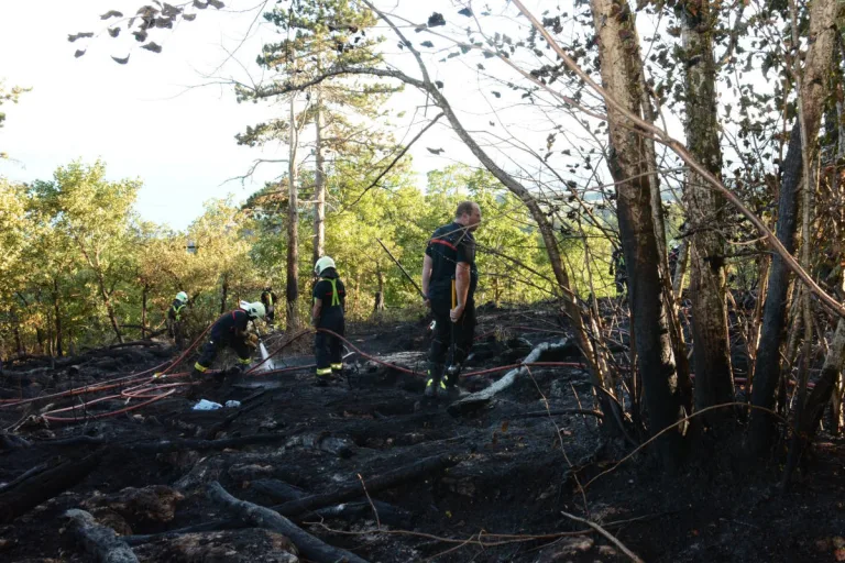 Chaumont NE – Feuerwehr bringt Waldbrand unter Kontrolle – Polizei sucht Zeugen