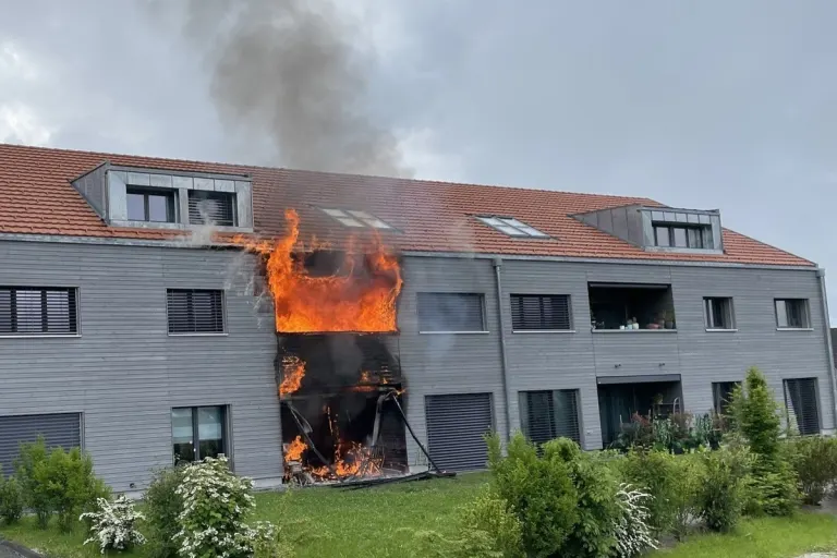 Chapelle FR - Feuerwehr rettet Hund und Schildkröten aus brennendem Haus  