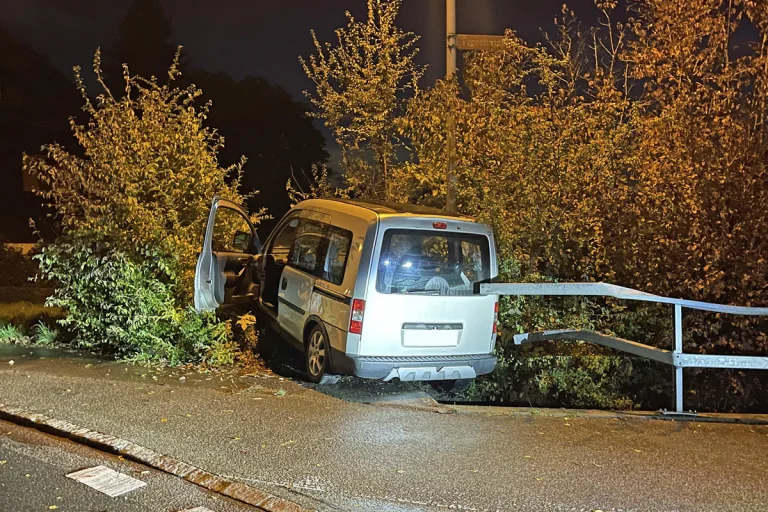Triengen LU - Brückengeländer durchbrochen 