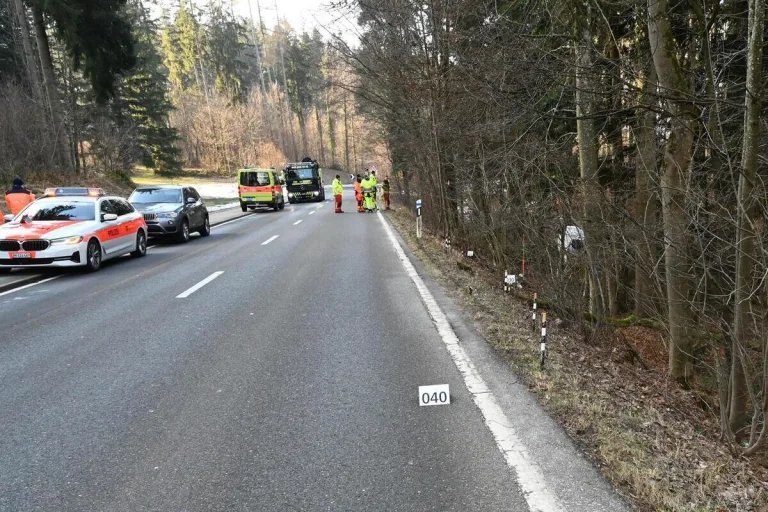 Wetzikon ZH – Mit mehreren kleineren Bäumen und Gebüschen kollidiert