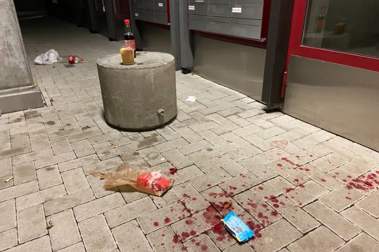 Zeugenaufruf aus Kaiseraugst AG - Jugendliche verprügeln 57-Jährigen der mit dem Hund spazieren gehen wollte