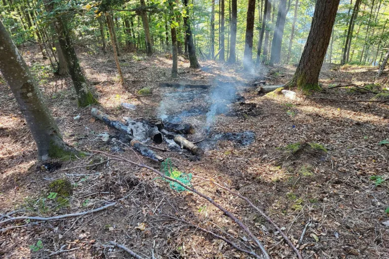 Balsthal SO – Feuerwehreinsatz wegen brennendem Waldboden