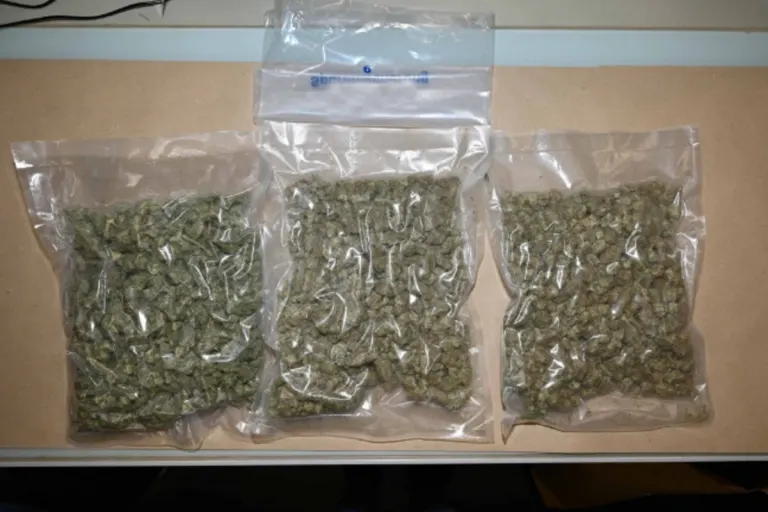 Kanton Zug - Mehrere Drogen sichergestellt 