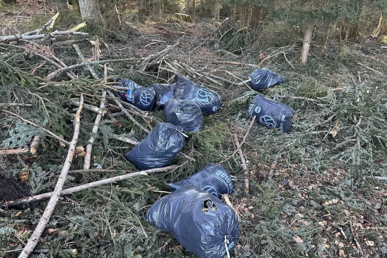 Bennau SZ – 11 Abfallsäcke im Wald entsorgt