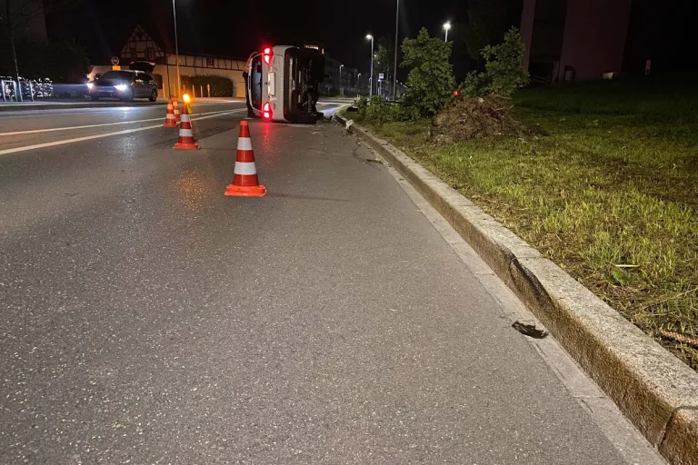 Cham ZG – In Baum gekracht und umgekippt