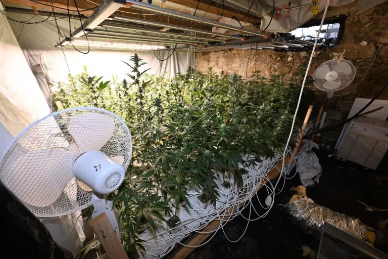 Benken SG - Indoor-Hanfanlage bei Brand entdeckt