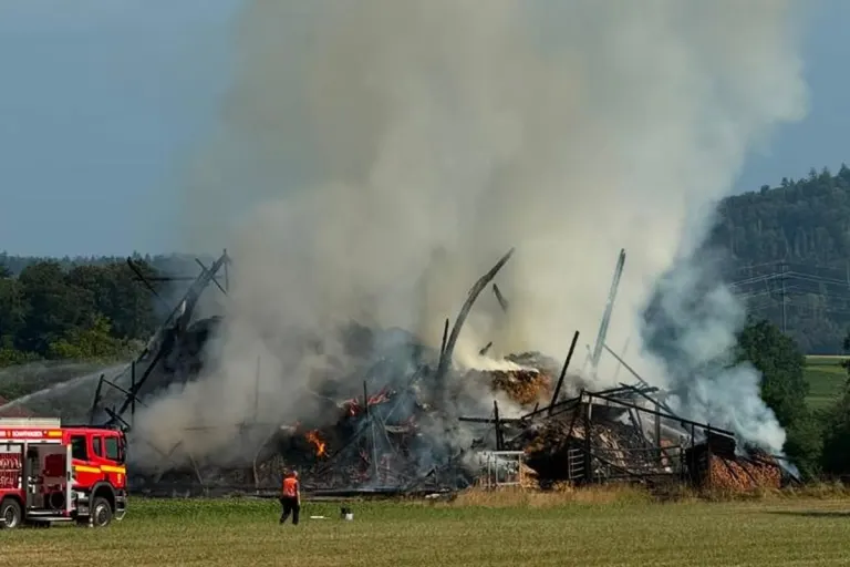 Hemishofen SH – Vier Verletzte nach Scheunenbrand