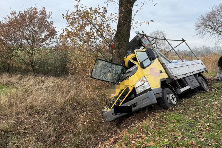 Lemwerder NI – Lkw prallt gegen Baum auf Landstraße