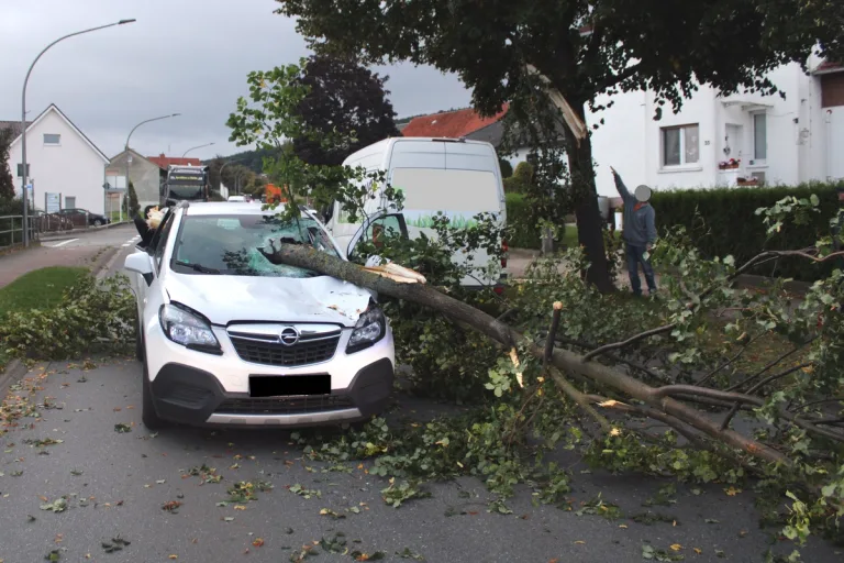 Nettelstedt NW - Baumstamm durchbohrt eine Windschutzscheibe
