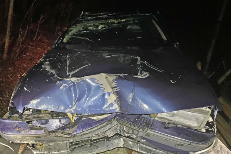 Weinfelden TG - 22-Jähriger rammt mit Auto Stromverteilerkasten!