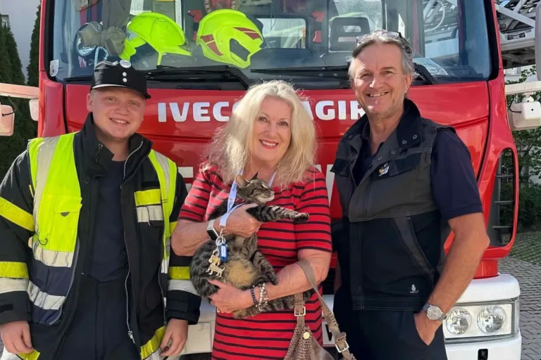 Villach K – Feuerwehr rettet Kater vom Dach