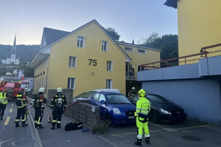 Gebenstorf AG – Brand durch Elektrogerät