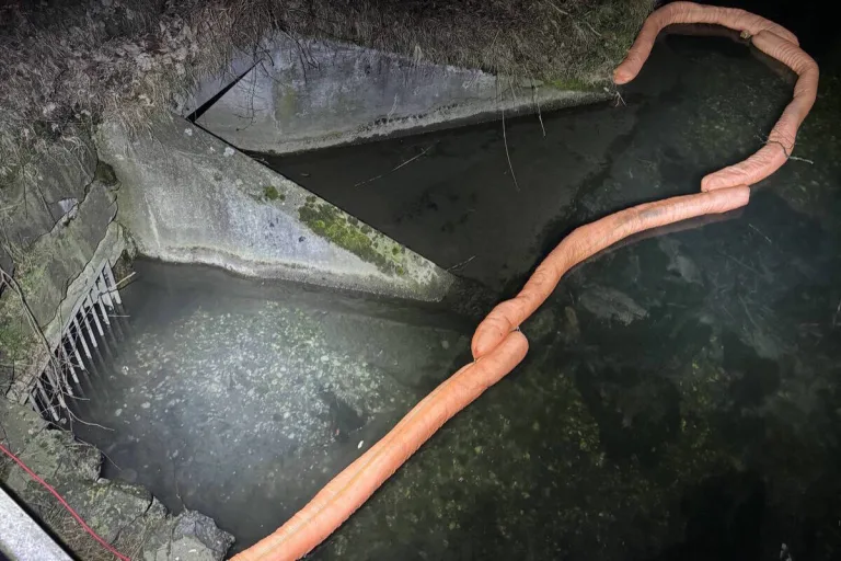 Buchs SG - Gewässerverschmutzung im Werdenberger Binnenkanal