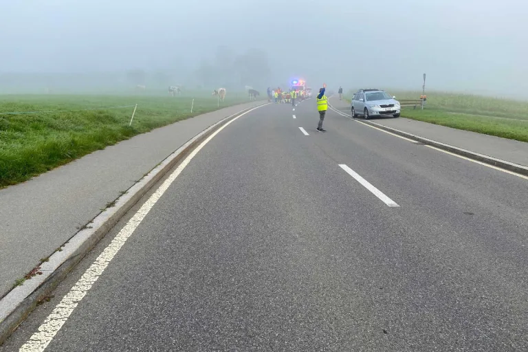 Risch Rotkreuz ZG – Kind springt auf Strasse – von Auto erfasst