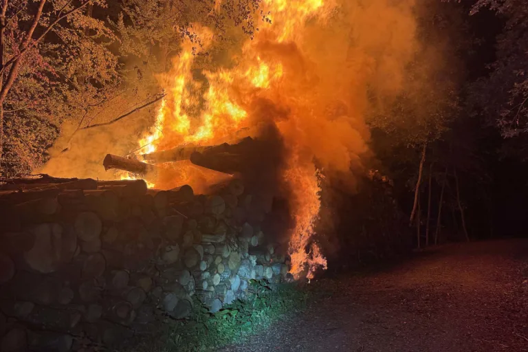 Baden AG – Grosser Holzstapel im Wald in Brand geraten
