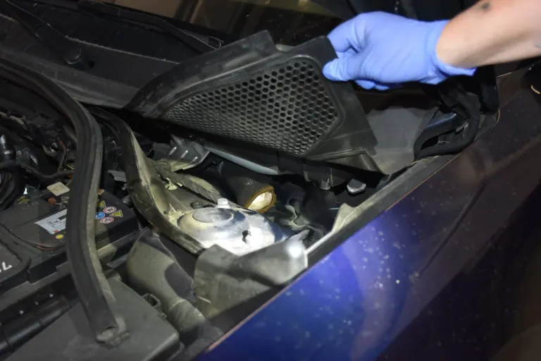Bardonnex GE – Diensthunde spüren Kokain in zwei Autos auf