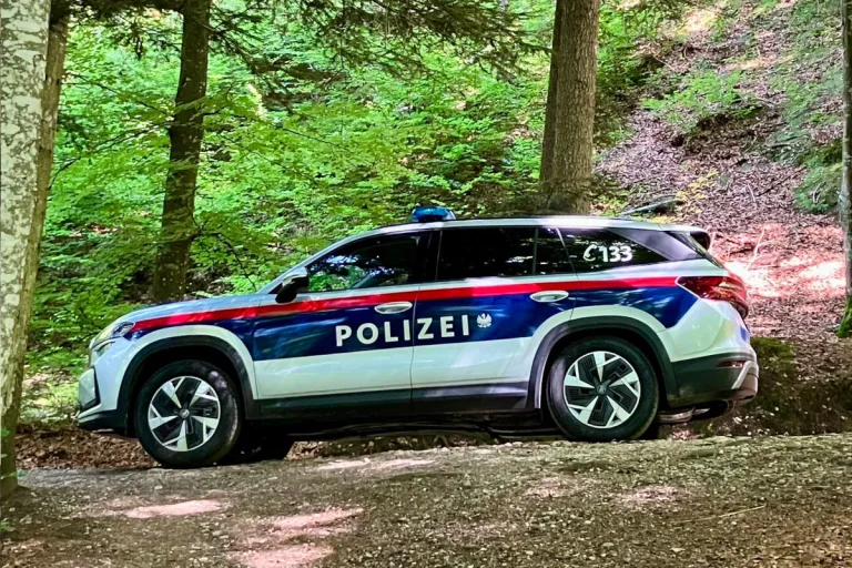 Diebstahl in Gmunden OÖ – Hunde überführen Täter