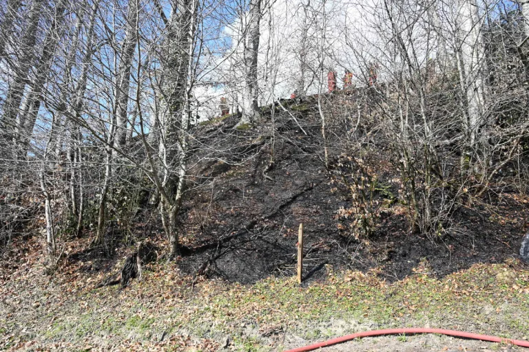 Goldingen SG – Feuerstelle unbeaufsichtigt gelassen und Waldbrand ausgelöst