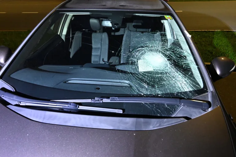 Flums SG - Betrunkener Fussgänger vom Auto erfasst