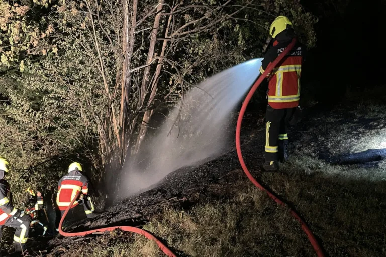 Kanton Schwyz - Zwei Dutzend Anrufe und ein Brand