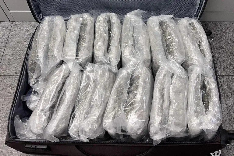Flughafen Zürich - Rund 50 Kilogramm Marihuana im Gepäck 