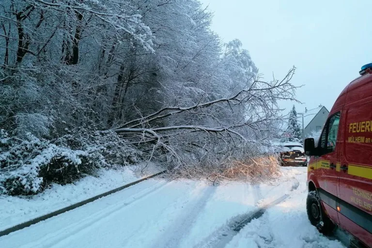 Mülheim an der Ruhr – Wetterbedingte Einsätze durch Baum- und Astbruch