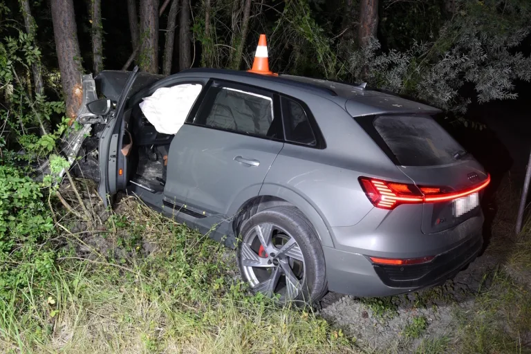 Unfall in Sils im Domleschg GR – Autofahrer verfehlt Kurve und kracht in Bäume