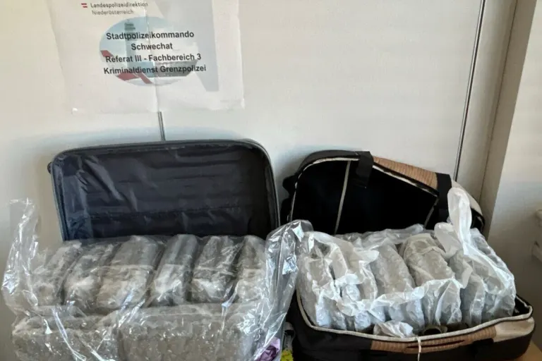 Flughafen Wien-Schwechat – Größere Menge Suchtmittel sichergestellt