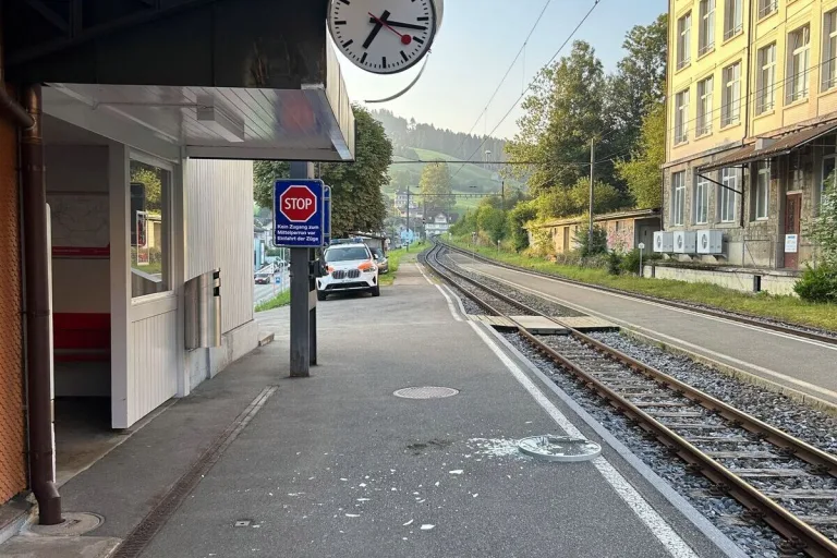 Herisau AR – Fahrunfähiger Autofahrer verursacht Selbstunfall und flüchtet