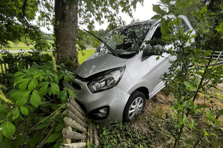 Diessenhofen TG – Autofahrerin von Strasse abgekommen und Baum geprallt   