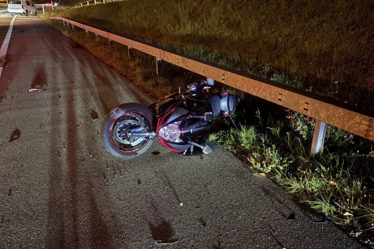St.Gallen-Winkeln SG – Fuchs löst Unfall aus