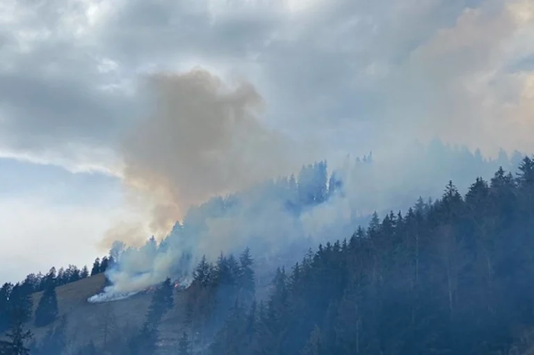 Crésuz  FR – Waldbrand mit Helikoptern unter Kontrolle gebracht