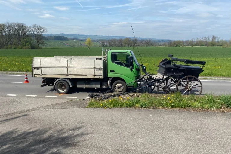 Pferd drehte heute in Hünenberg (ZG) samt Kutsche durch