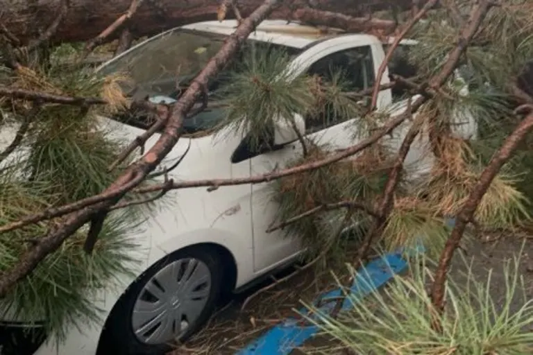 Basel - Unwetter sorgt für viel Chaos