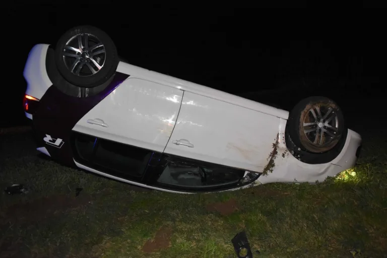 Wildunfall in Oberdorf SO - Auffahrunfall nach Kollision mit Reh!