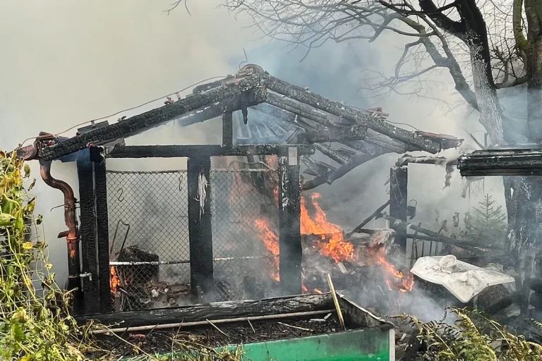 Altishofen LU - Gartenhaus geriet in Brand – niemand verletzt