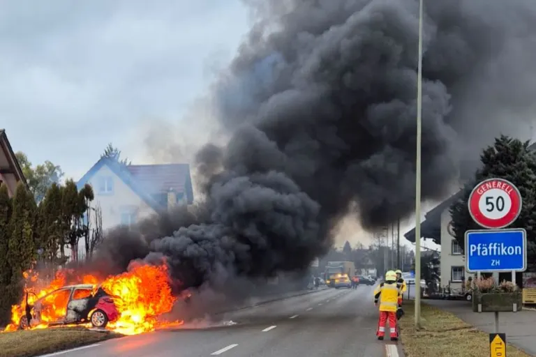 Pfäffikon ZH – Auto und Hecke in Brand geraten