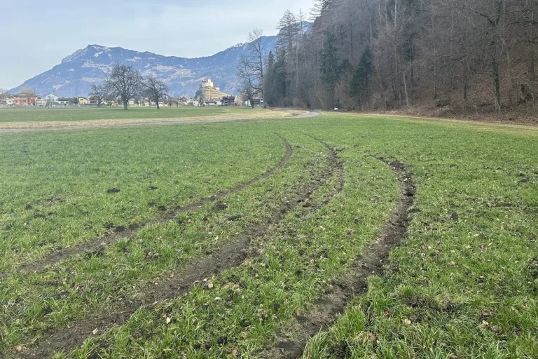 Balzers FL – Flurschaden auf Wiesen angerichtet