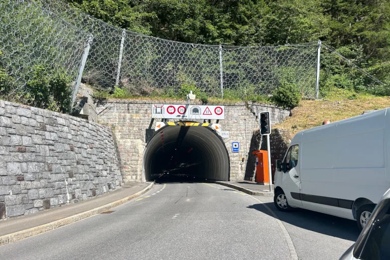 Liechtenstein – Landespolizei rückt zu mehreren Einsätzen aus