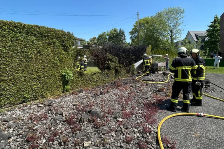 Oberentfelden AG – Thuja-Hecke beim Unkrautbrennen in Brand geraten 