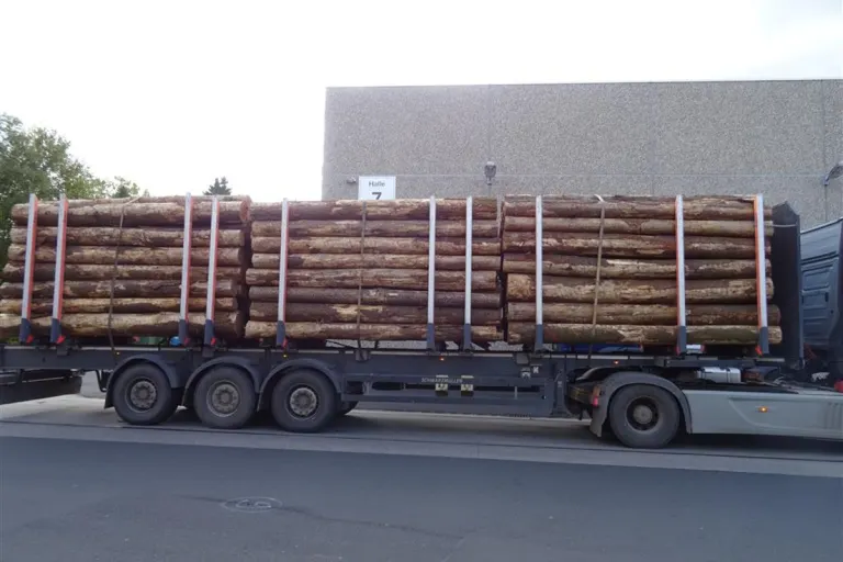 Longkamp - Holztransport zu schnell und zu schwer unterwegs 