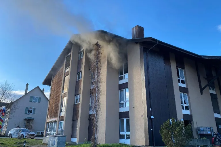 Arlesheim BL - Feuerwehreinsatz wegen Küchenbrand