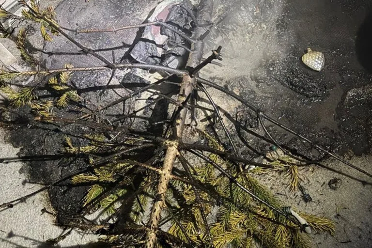 Niederlenz AG – Weihnachtsbaum in Brand geraten
