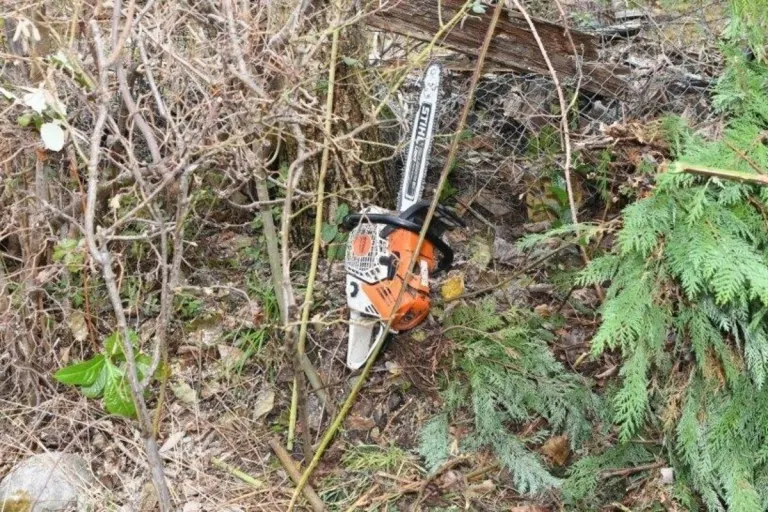 Speicherschwendi AR – Mit Kettensäge am Kopf verletzt