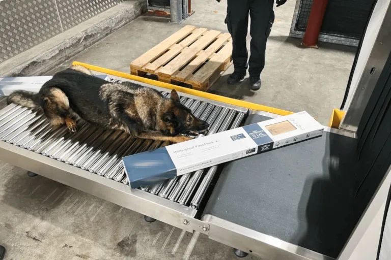Zürich – Spürhund entdeckt Haschisch am Flughafen